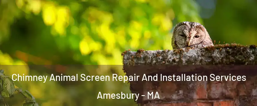  Chimney Animal Screen Repair And Installation Services Amesbury - MA