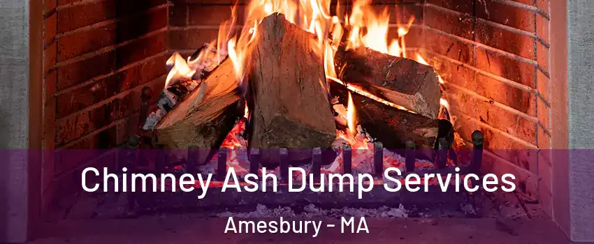  Chimney Ash Dump Services Amesbury - MA
