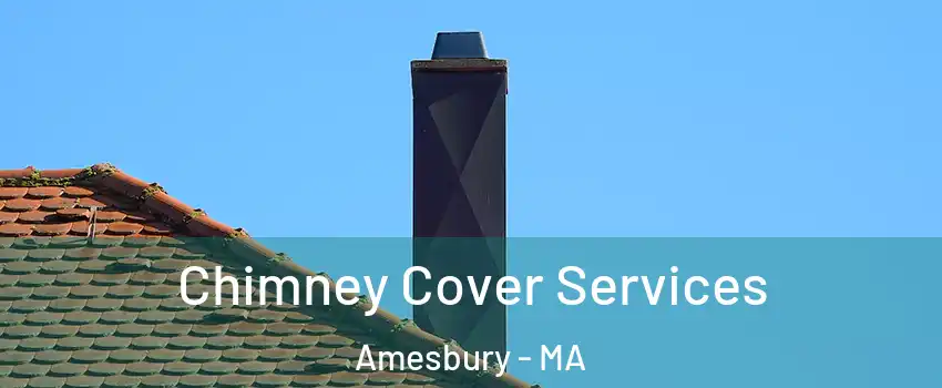  Chimney Cover Services Amesbury - MA