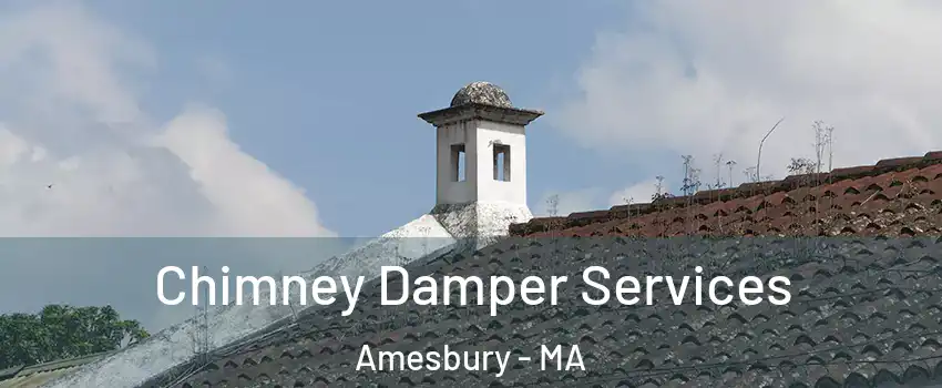  Chimney Damper Services Amesbury - MA