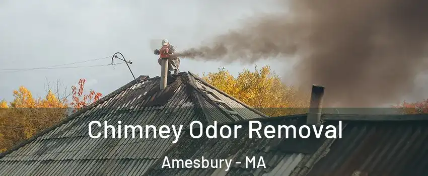  Chimney Odor Removal Amesbury - MA