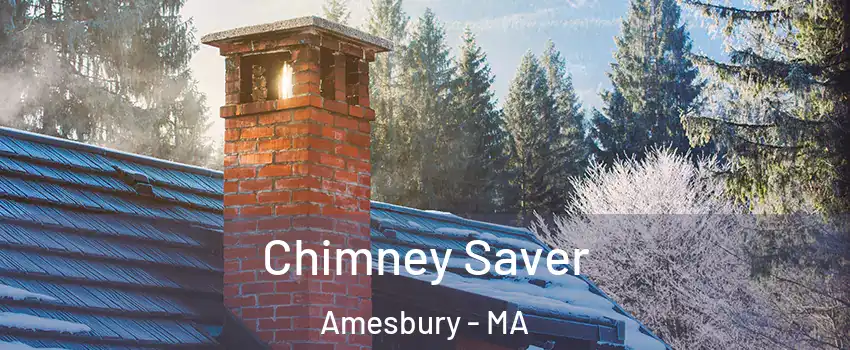  Chimney Saver Amesbury - MA