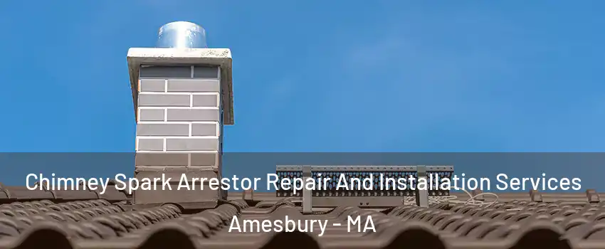  Chimney Spark Arrestor Repair And Installation Services Amesbury - MA