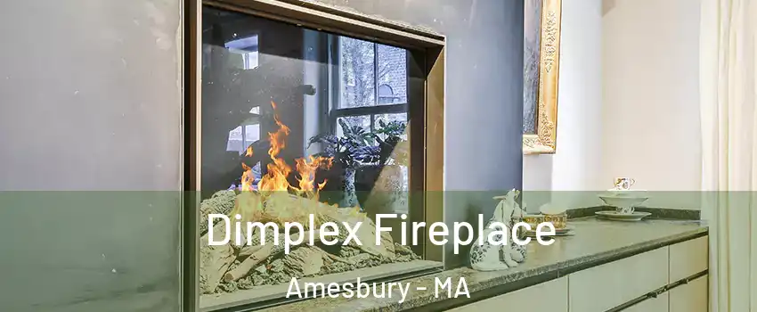  Dimplex Fireplace Amesbury - MA