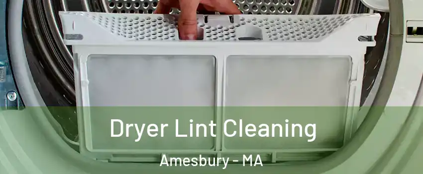  Dryer Lint Cleaning Amesbury - MA