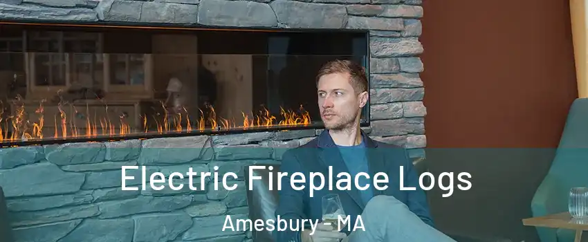  Electric Fireplace Logs Amesbury - MA