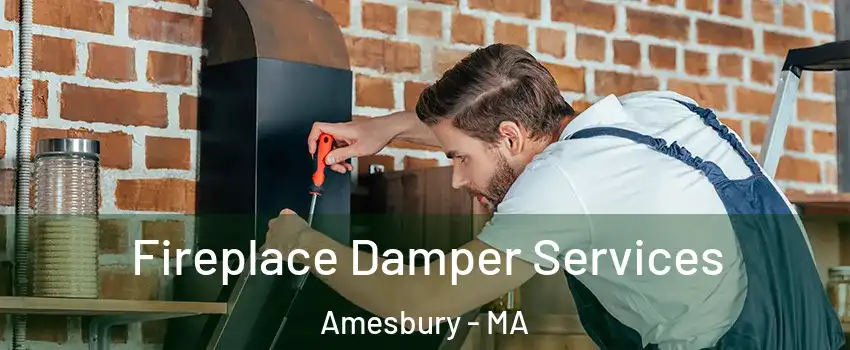  Fireplace Damper Services Amesbury - MA