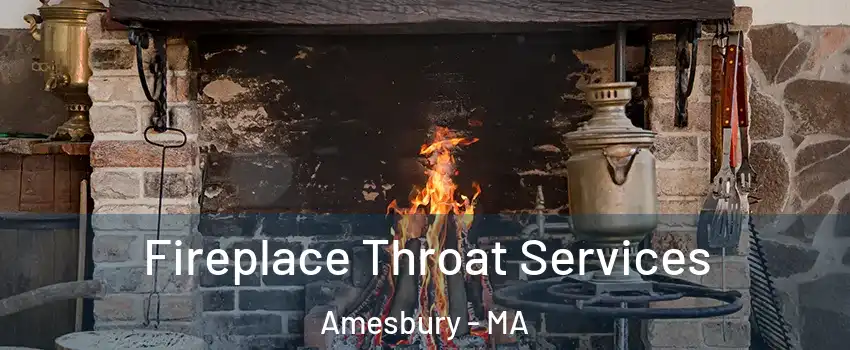  Fireplace Throat Services Amesbury - MA
