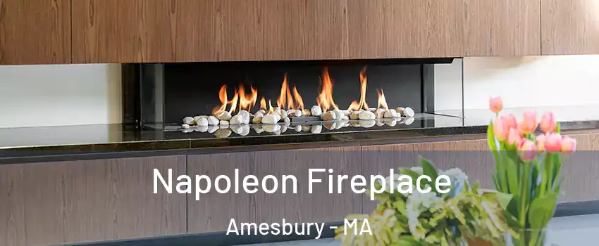  Napoleon Fireplace Amesbury - MA