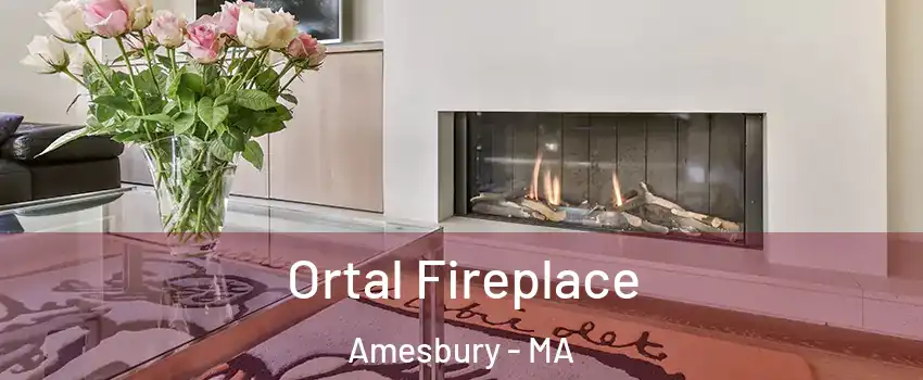  Ortal Fireplace Amesbury - MA